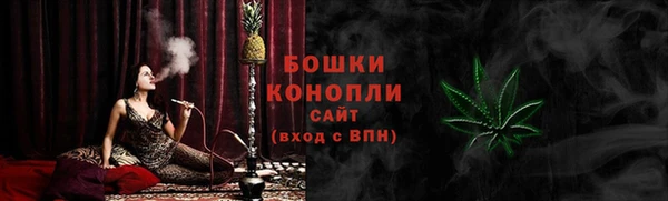 прущие грибы Баксан